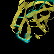 Antibody-Modeling-Step-3 Antibody Modeling Step 3